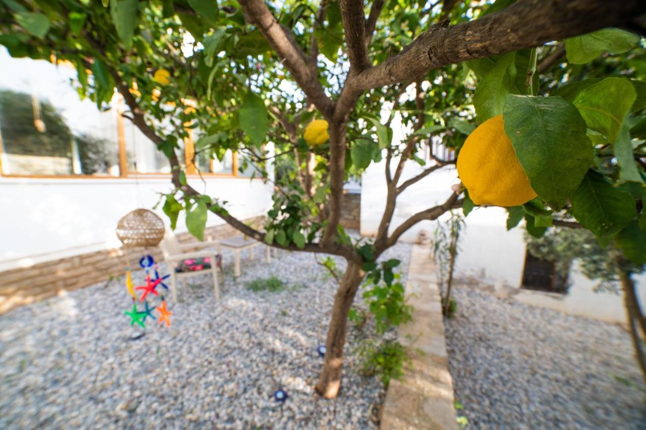 Dolphin Villa Bodrum Dış mekan fotoğraf